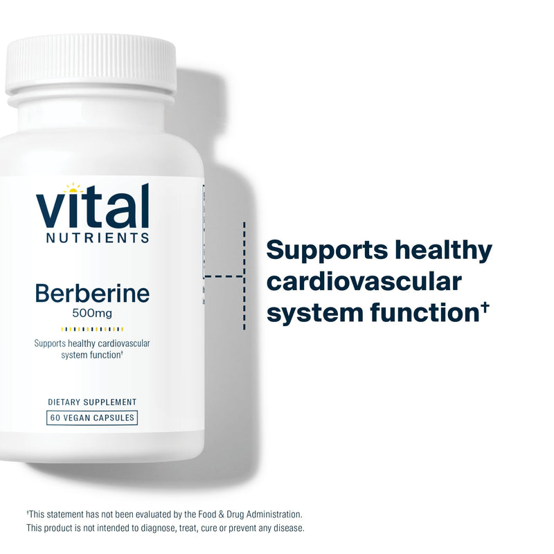 Vital Nutrients Berberine 500 mg Vegan Capsule — Supports Gut Function & Normal Triglyceride Levels | Gluten, Dairy & Soy Free | 60 Capsules