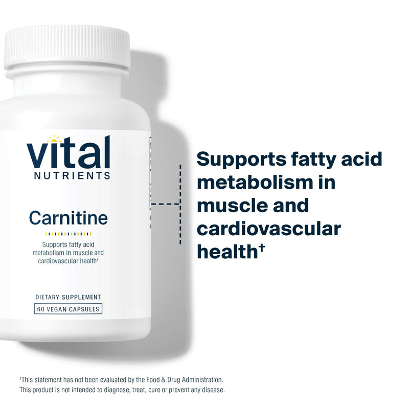 Vital Nutrients Carnitine 500mg – L-Carnitine for Heart Health | Vegan, Gluten & Dairy Free | 60 Capsules