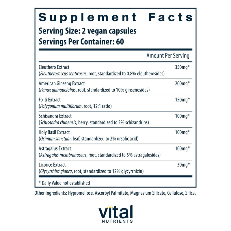 Vital Nutrients Energy Plus – Nonstimulatory Herbal Energy Support | 120 Capsules