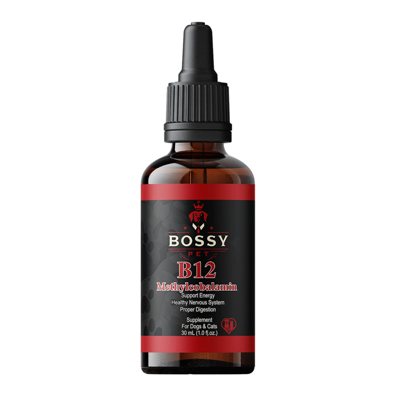 Vitamin B12 for Dogs & Cats – Vet-Formulated Methylcobalamin Drops