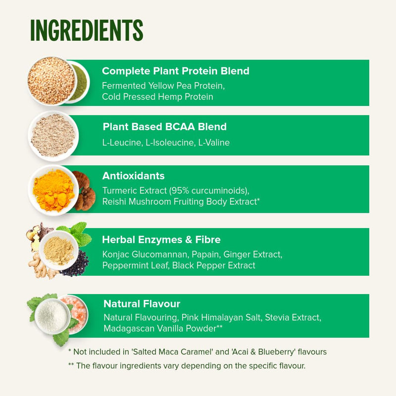 Vivo Life Perform Plant Protein Powder – Pea & Hemp with BCAA | Banana Cinnamon | 34.85 oz