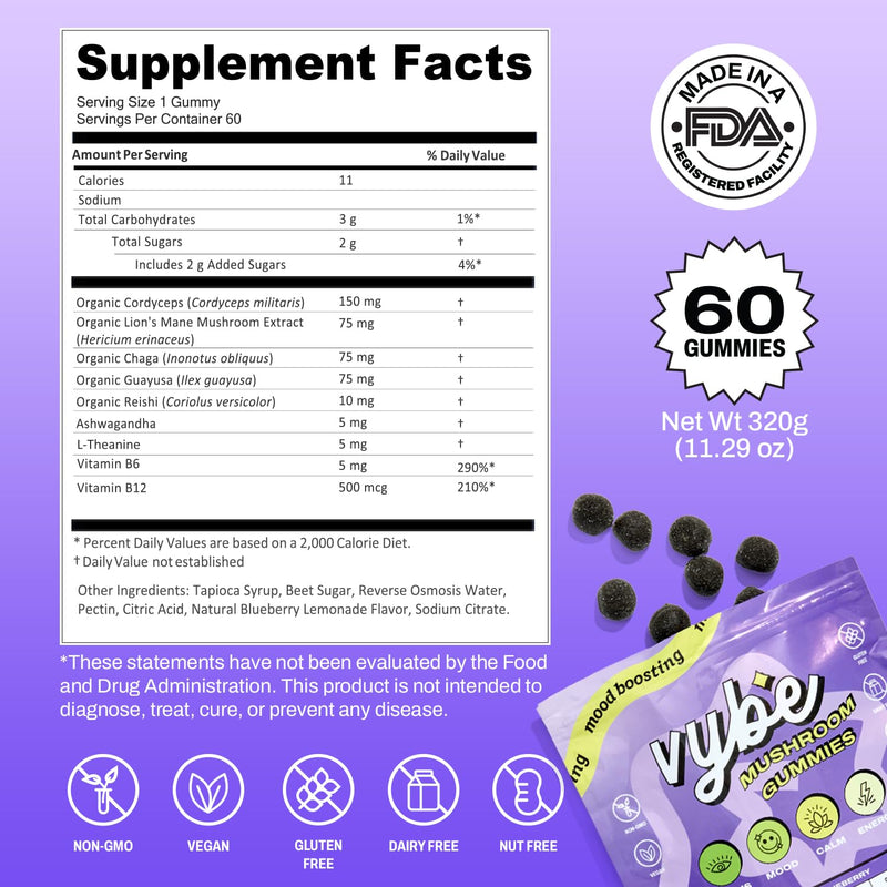 Vybe Daily Nootropic Gummies – 8-in-1 Brain Support (Blueberry)