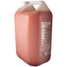 Wahl Shampoo 5Ltr - Case of 2