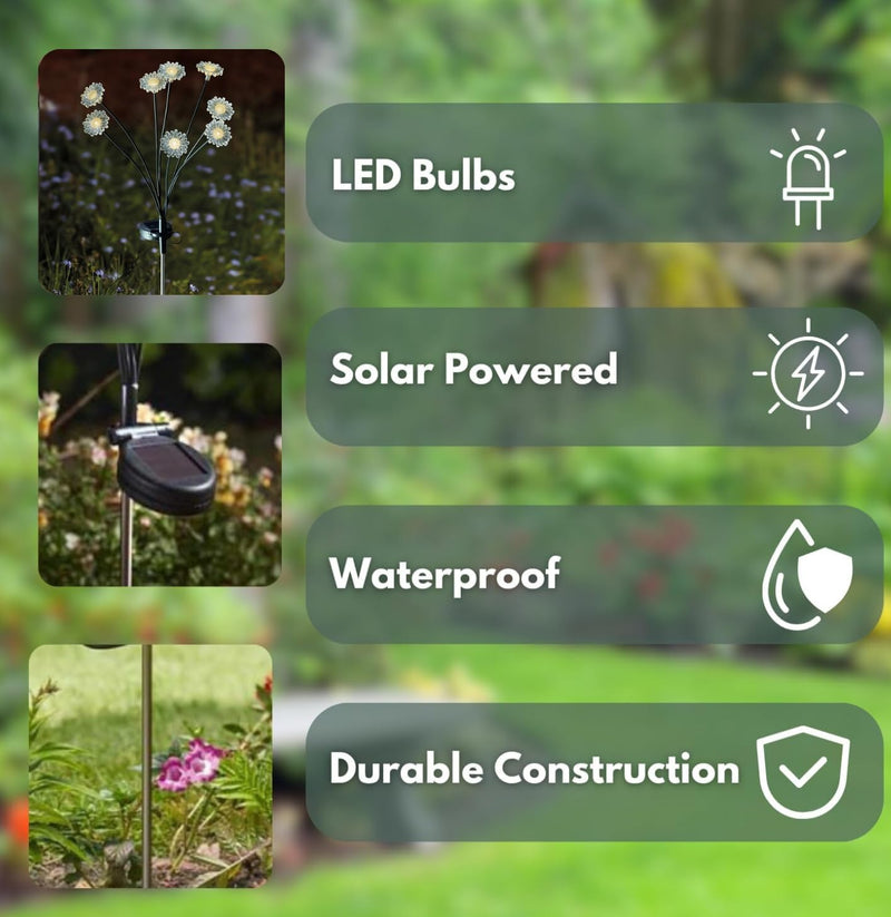 Solar Daisy Stake Lights with 8 LED Flower Stems 70cm
