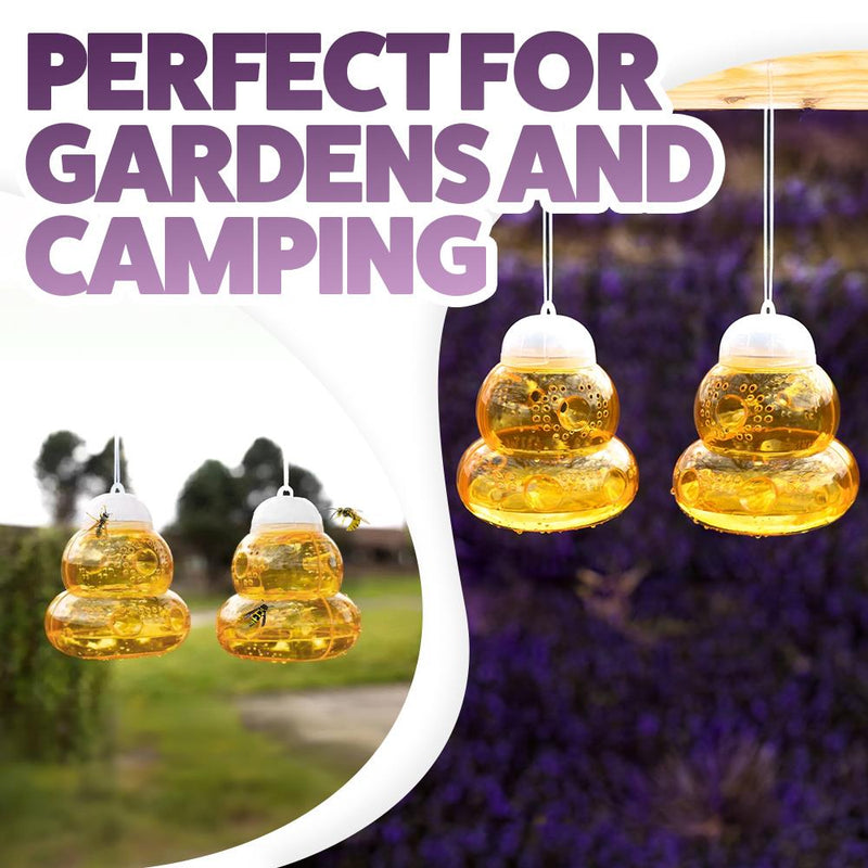 Wasp Traps Pack of 2