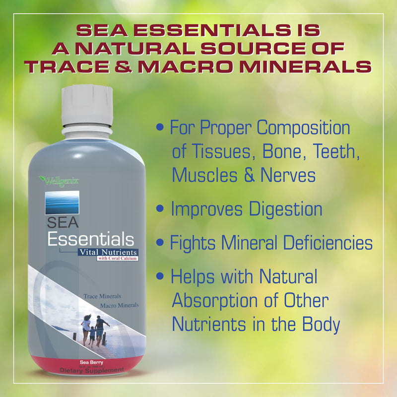 Wellgenix Sea Essentials Coral Calcium Liquid Vitamin for High Absorption – Sea Berry Flavor 32 Oz