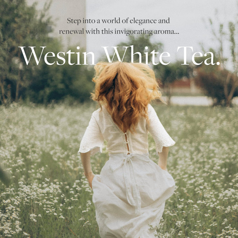 Westin White Tea Diffuser Refill Cartridge - Authentic Westin Fragrance