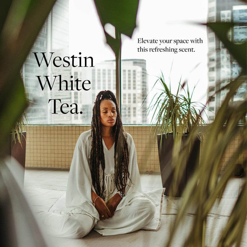 Westin White Tea Diffuser – Home Scent Machine, Hotel-Quality Waterless Fragrance for Large Rooms