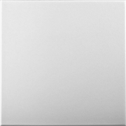 White Blank: Decorative Ceiling & Wall Panels - 2m2 (21.52 sqft) - 8 Panels - InStock
