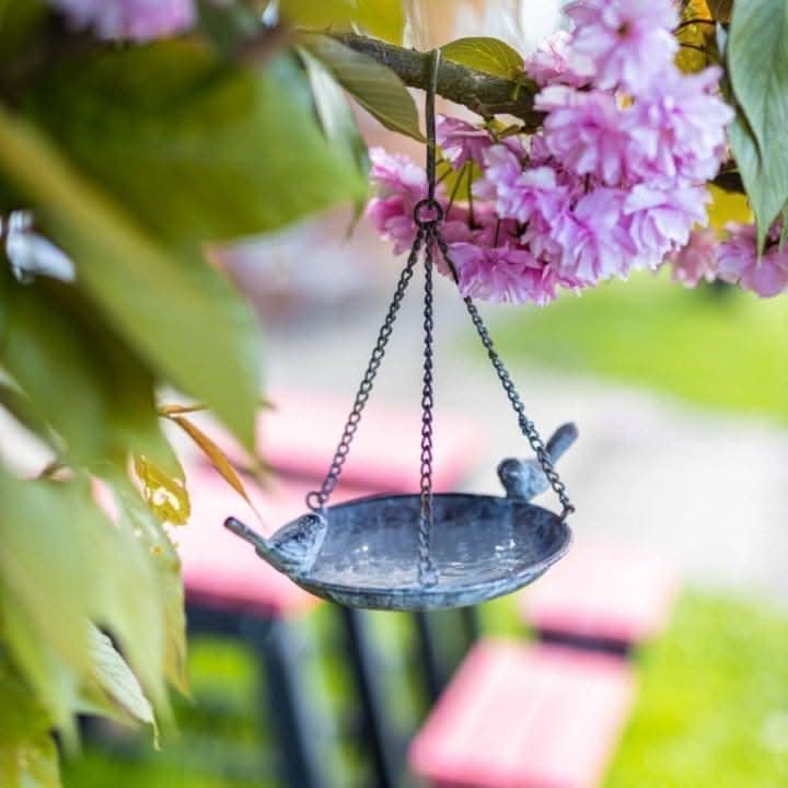 Hanging Metal Bird Bath and Feeding Station