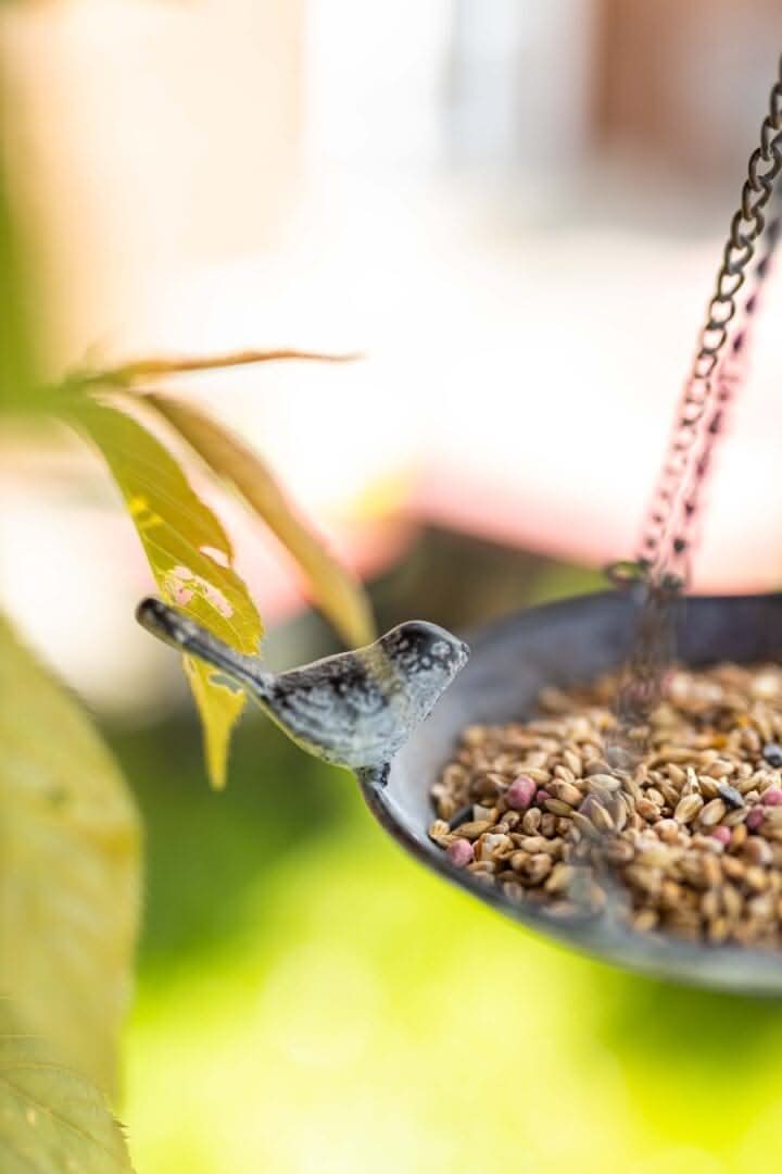 Hanging Metal Bird Bath and Feeding Station