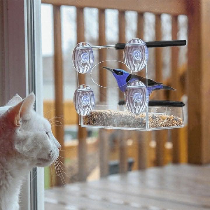 Window Bird Feeder Clear Perspex Suction Cup Wildlife Feeding Tray