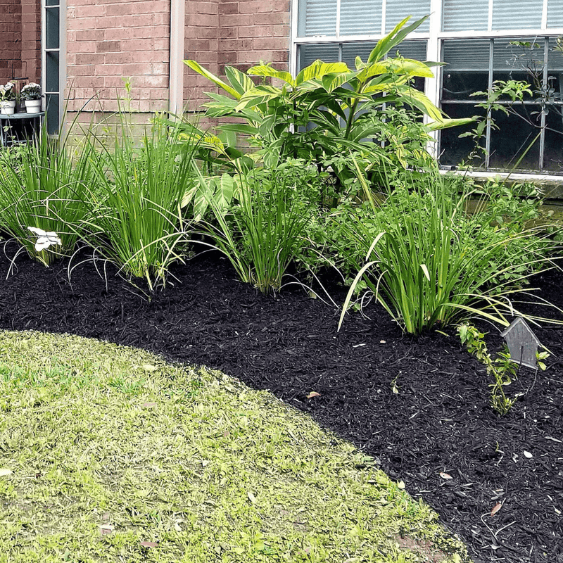 Soil Improver Conditioner