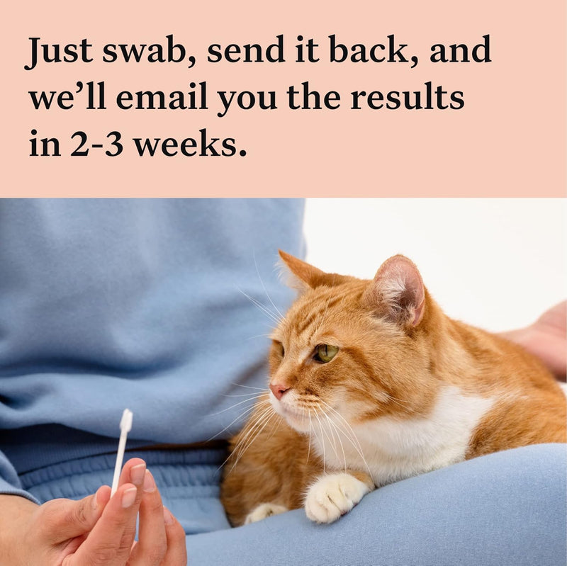 Wisdom Panel Complete: Comprehensive Cat DNA Test kit for 45 Health Genetic Health Conditions, 70+ Breeds and populations, 25+ Traits, Blood Type - Pack of 2
