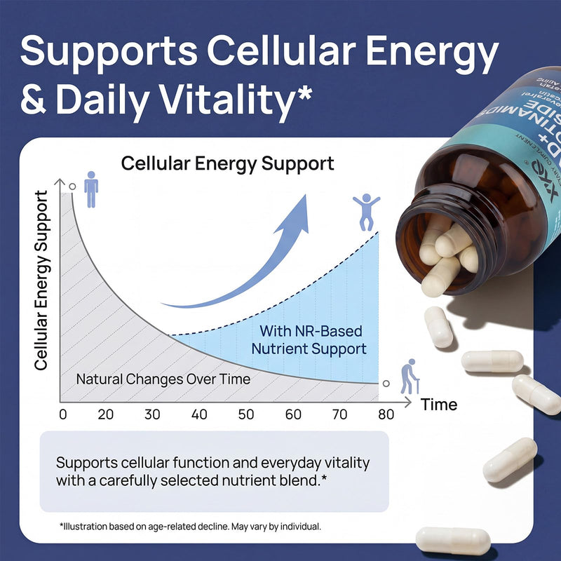 XKQ NAD+ Supplement 910mg – 60 Servings | Nicotinamide Riboside for Energy & Healthy Aging