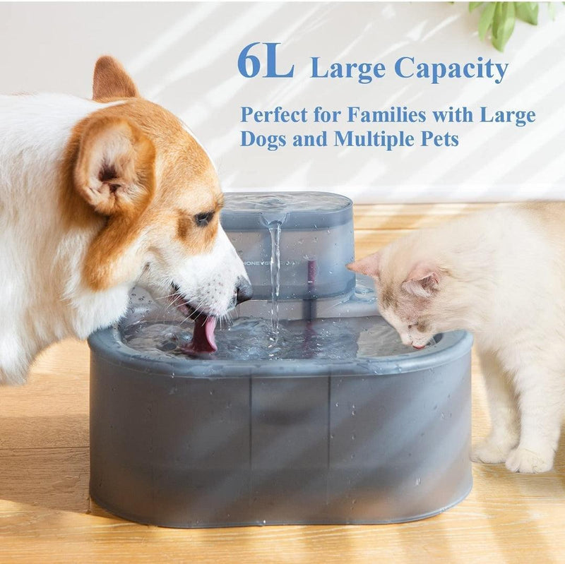 XL Cat & Dog Water Fountain 6L