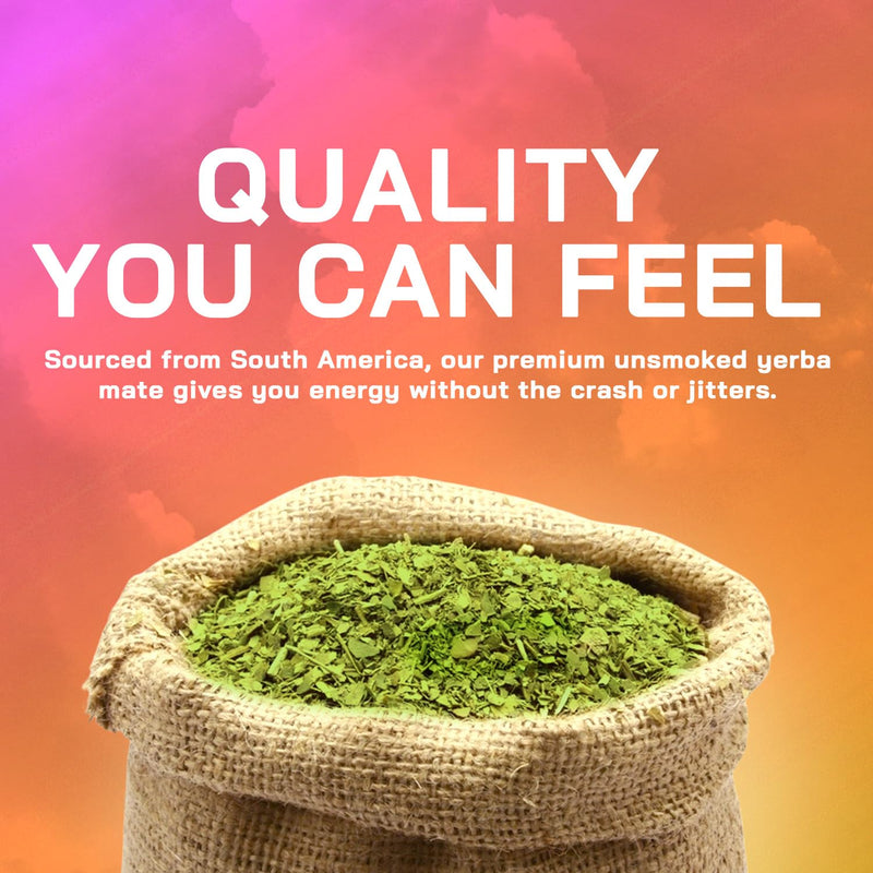 Yerba Magic 100% Yerba Mate Capsules – Clean Energy, Focus, Gut Health | 60 Servings