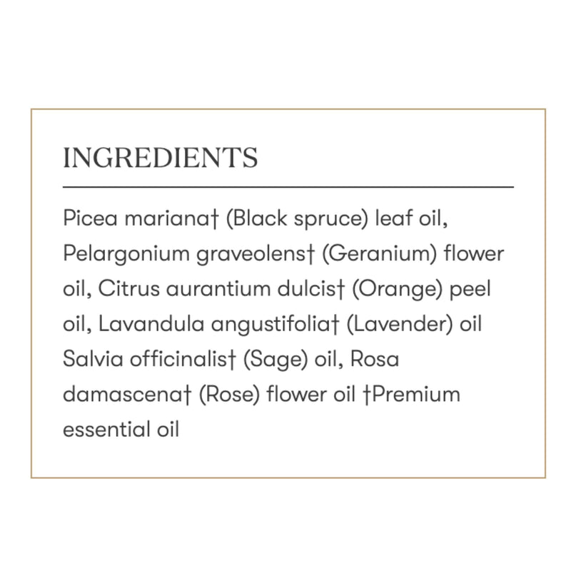 Envision Essential Oils Blend 5 ml by Young Living | Kosher Certified | Seed to Seal