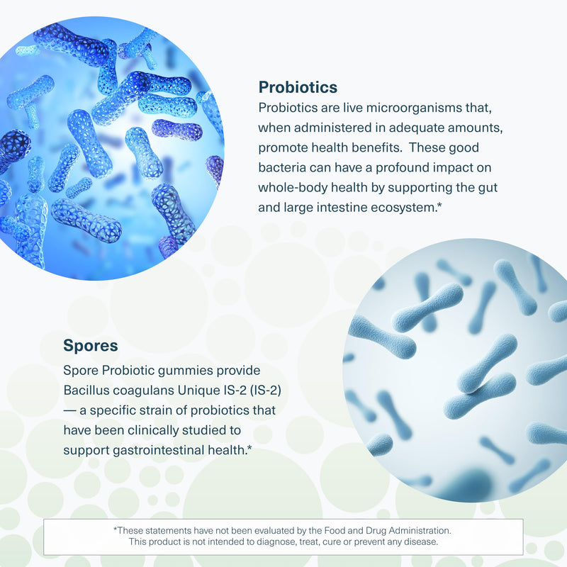 Youtheory Spore Probiotic – Vegan Gut Support, Bacillus Coagulans | 60 Gummies